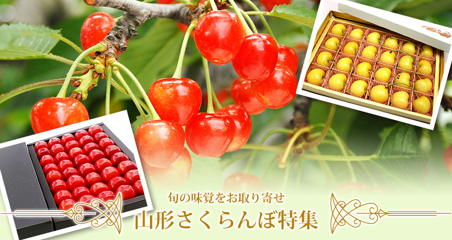 さくらんぼ(桜桃・チェリー) | 日本ロイヤルガストロ倶楽部