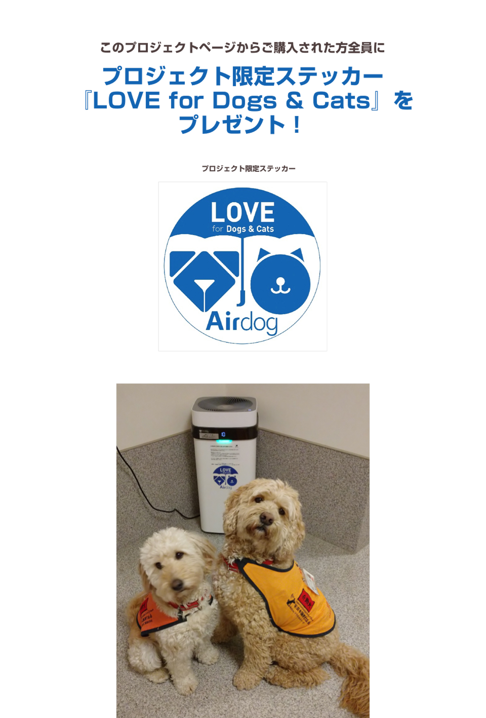 公式】Airdog | 【保護犬猫施設応援プロジェクト（日本聴導犬協会