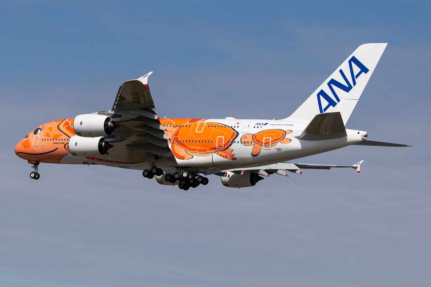 Two years after delivery, ANA's third Airbus A380 debuts