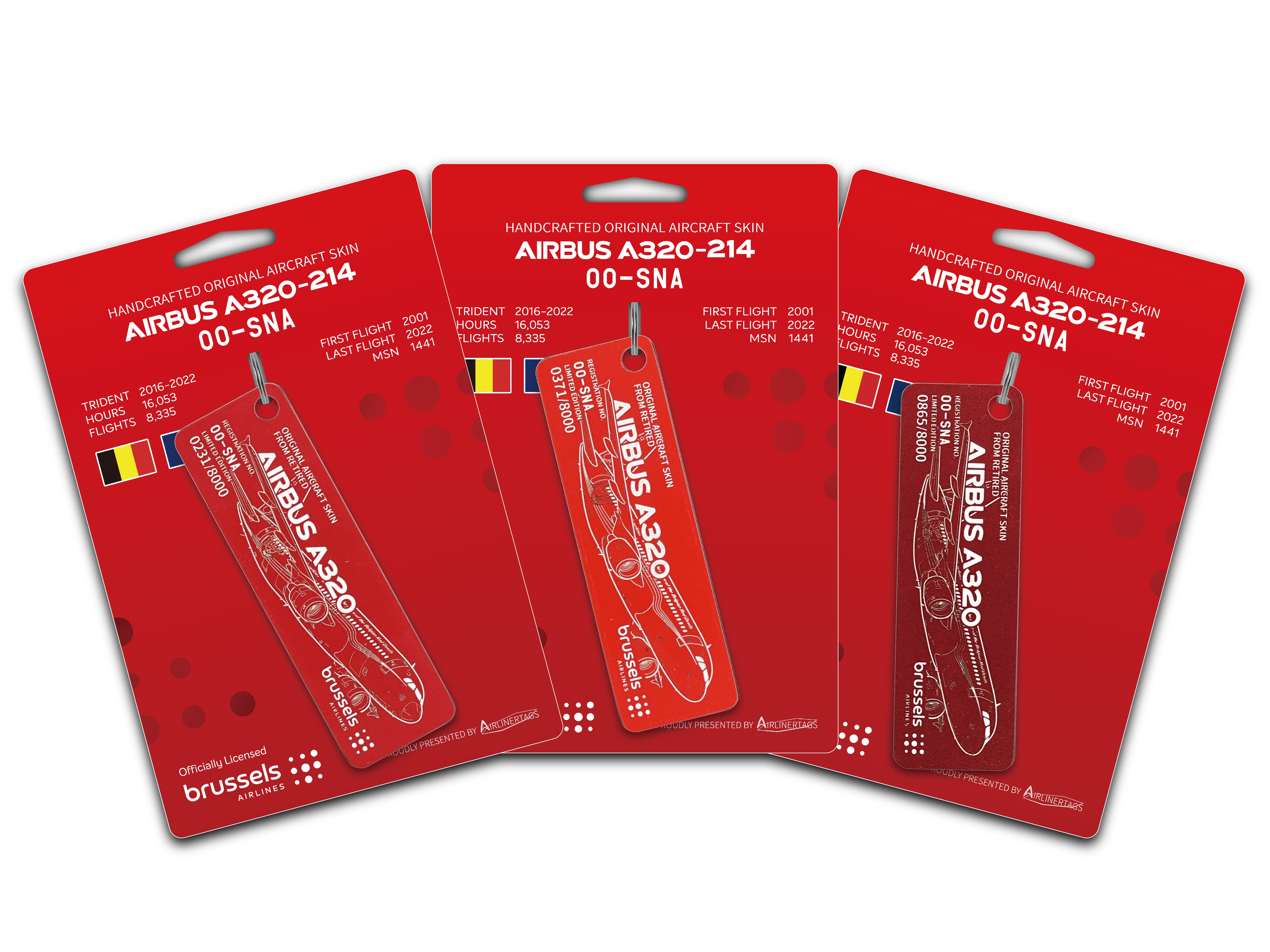 Brussels Airlines Airbus A320-200 ex-OO-SNA --- Airlinertags
