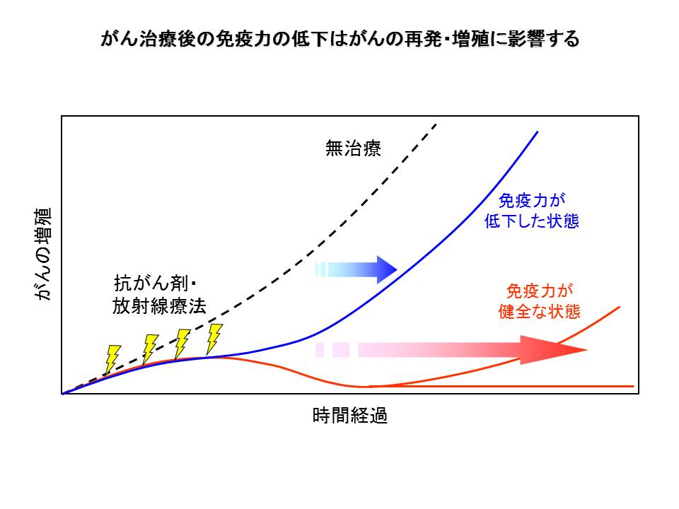 特集記事】がんの再発・転移予防には免疫力が大切 | 再発転移がん治療情報