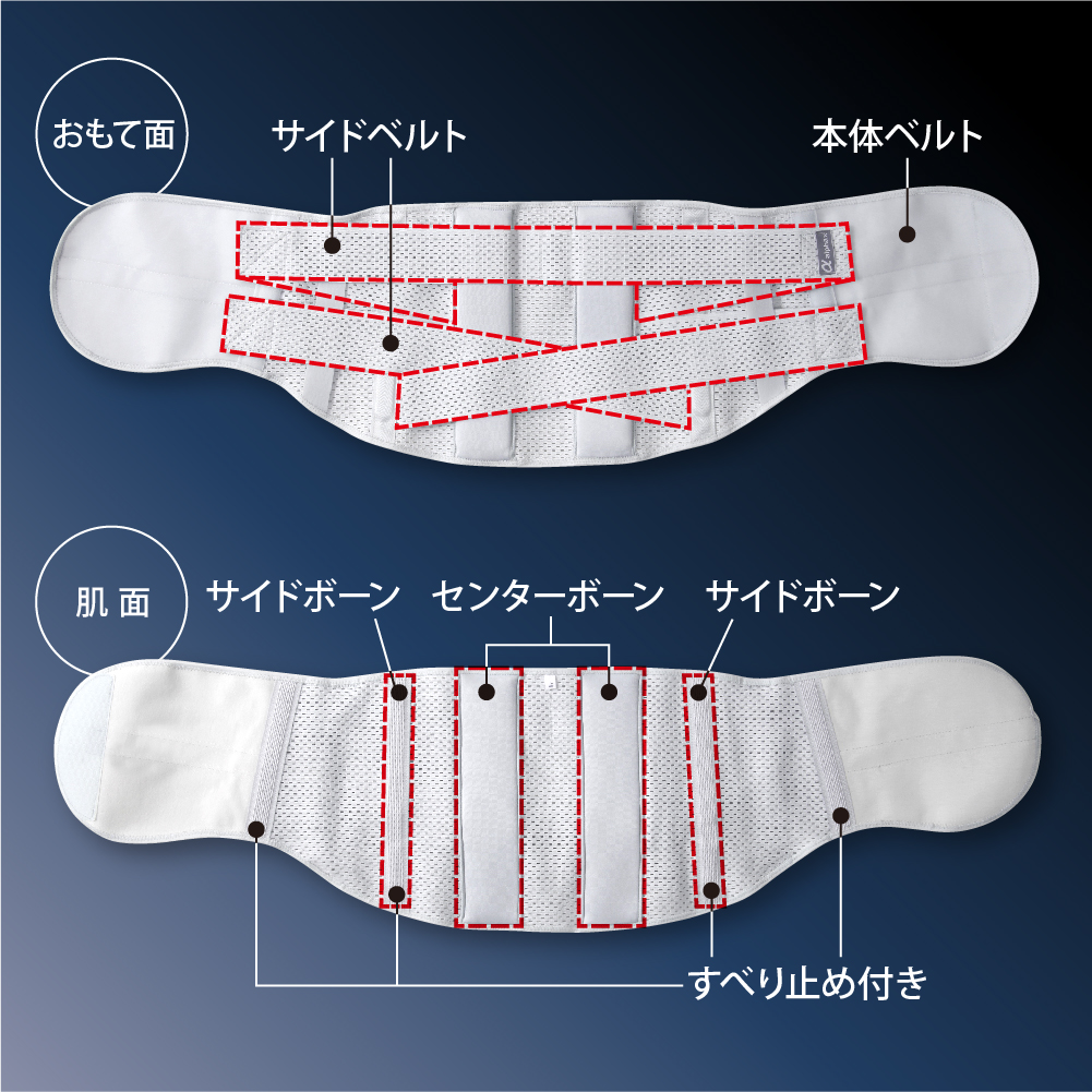 お医者さんのプレミアムワイドコルセット - 株式会社アルファックス