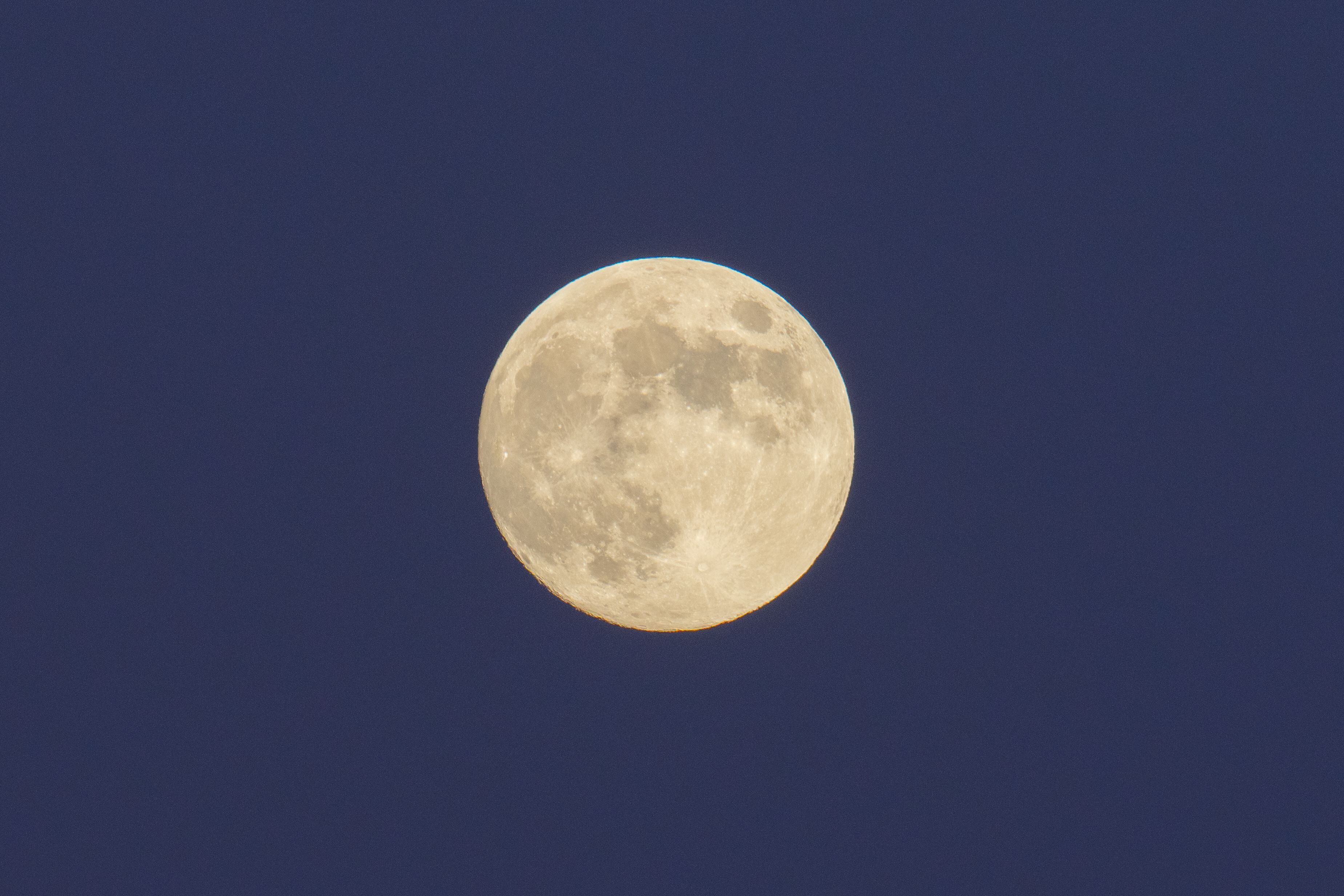 Tonight's full Beaver moon is special for a couple of reasons - al.com