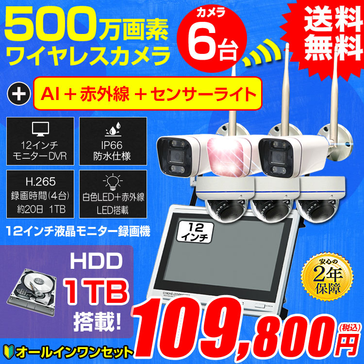 防犯カメラ カメラ6台セット 屋外 録画機能付き AI人体検知 人感