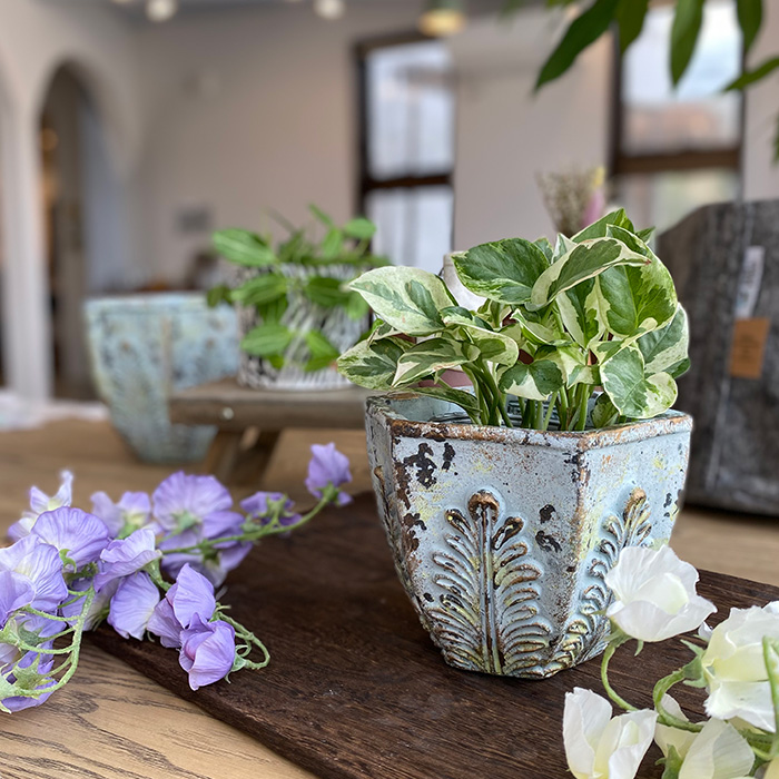 Zeras セメント鉢カバー S - 姫路市 雑貨店 PORTUS