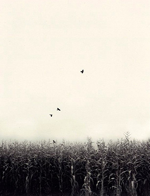 Sound of Summer Running | Photography Book