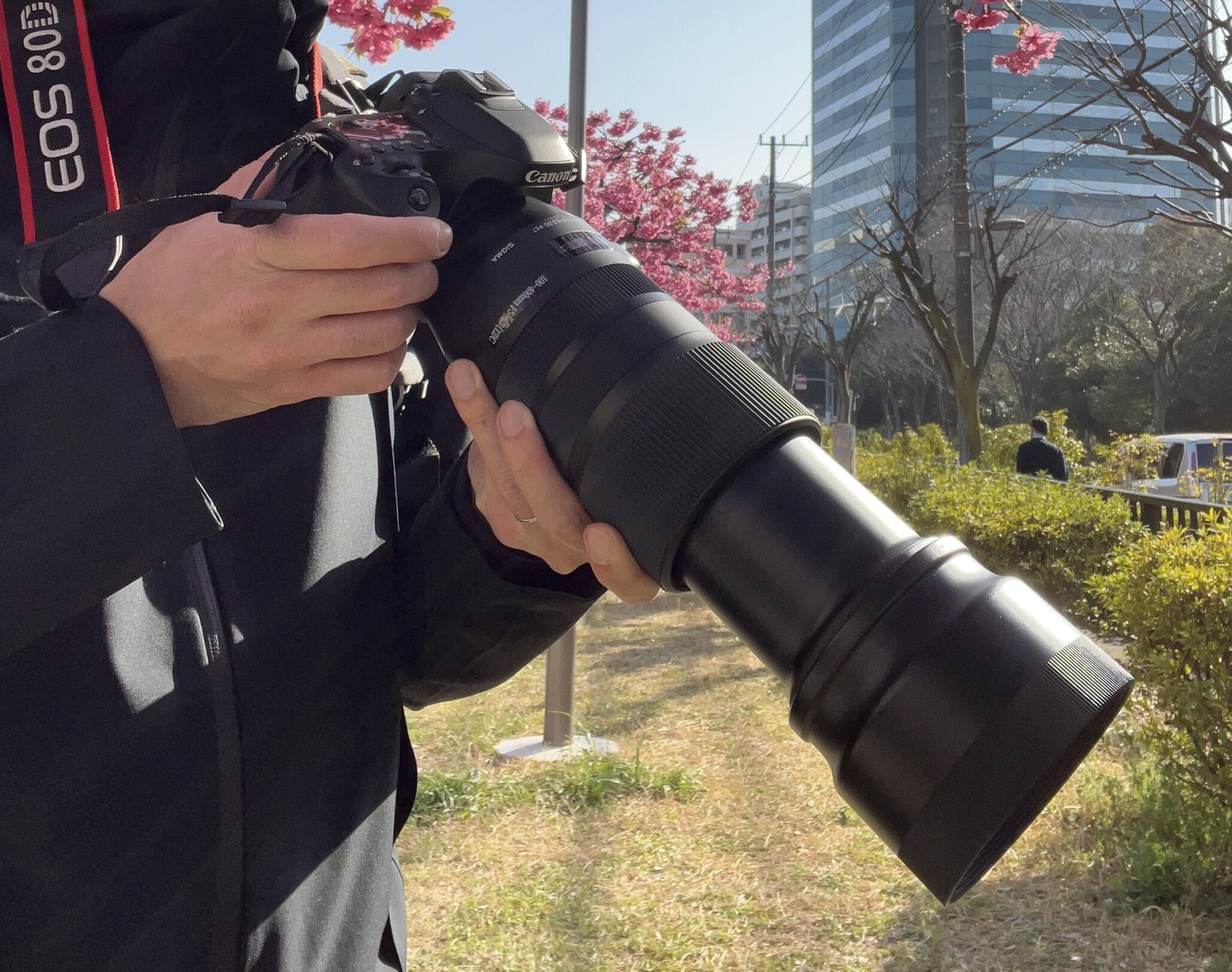 Canon EOS 80Dにタムロン18-400mmとシグマ100-400mmを付け替えて撮り