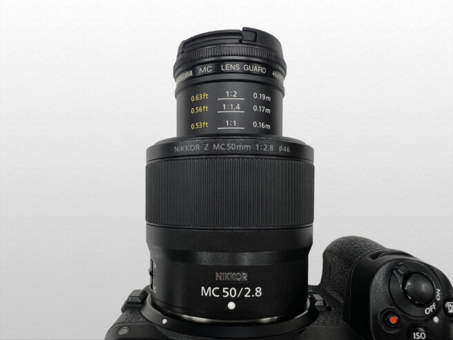 NIKKOR Z MC 50mm f/2.8 で撮る冬の訪れを感じる東京都内｜カメラ