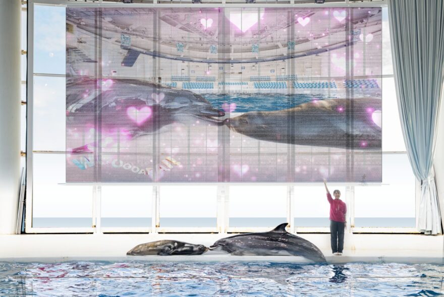 イルカ・アシカオーシャンライブ 3月12日(木)よりリニューアル