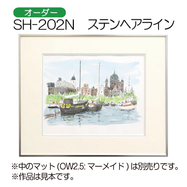 デッサン額縁：SH-202N（SL-202N） SH.ステンヘアライン（アクリル