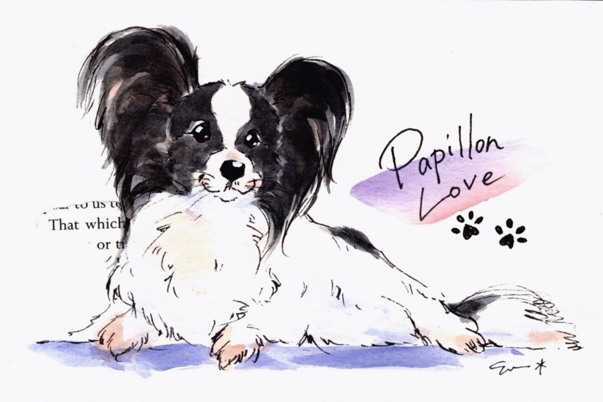 イタリアングレーハウンド」 by エルミーユ｜Artmeter｜暮らしを彩る