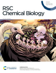 論文雑誌「RSC Chemical Biology」のカバーピクチャーを制作しました