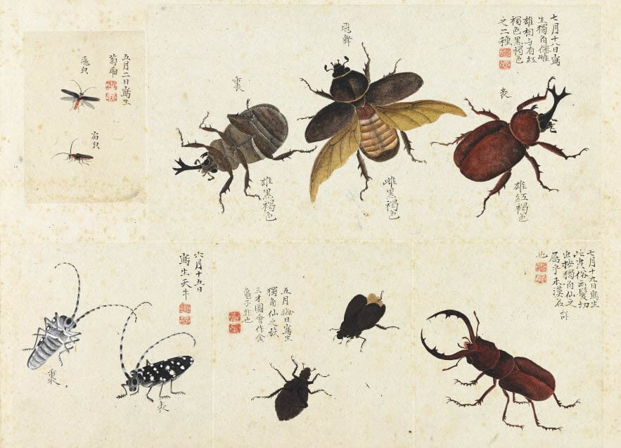 没後200年記念 増山雪斎 展 | 三重県立美術館 | 美術館・展覧会情報