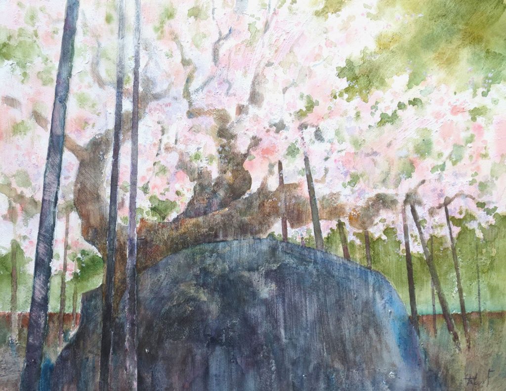 石割桜