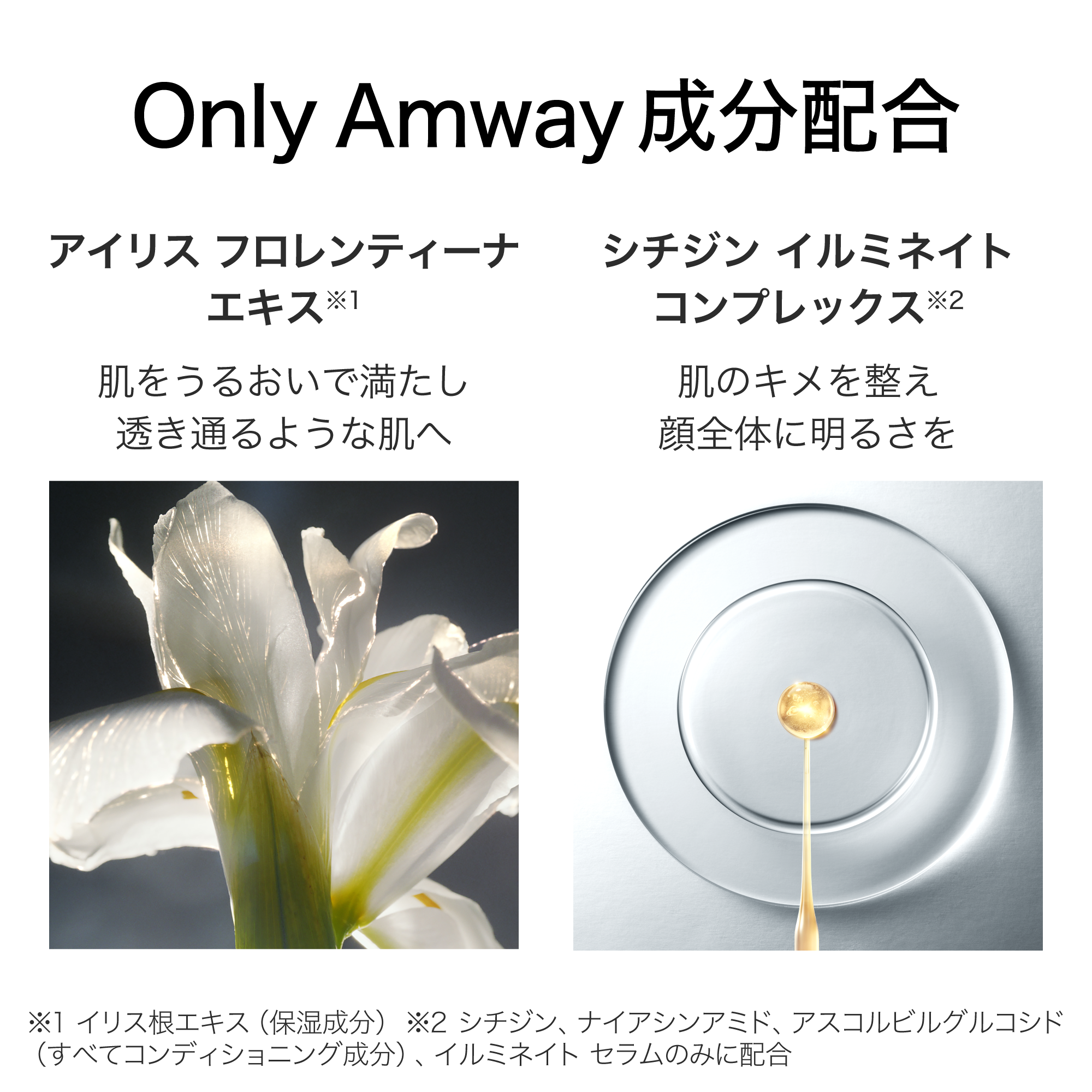 アーティストリー ラボ™ イルミネイトシステム | アーティストリー