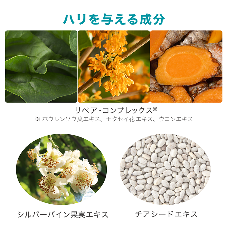 アーティストリースキン NT™ ひきしめクリーム | アーティストリー