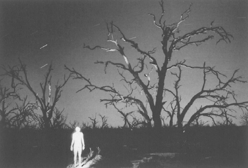 Trent Parke: Minutes to Midnight - Artlink