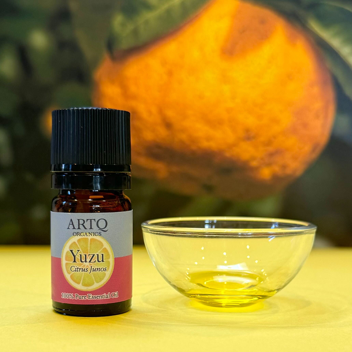 シトラスフェア2024 | ARTQORGANICS（アロマティーク オーガニクス