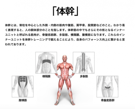 長友選手が使っているFlowin(フローイン)を買ってみた （体幹