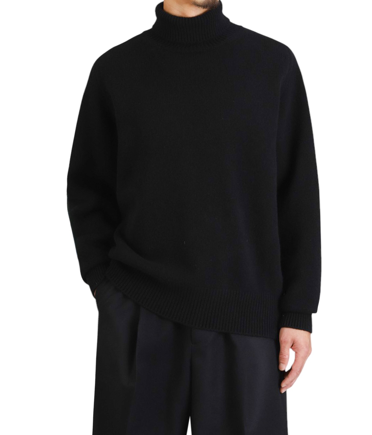 EXTRA FINE WOOL WARM KNIT TURTLE NECK LS | ssstein(シュタイン