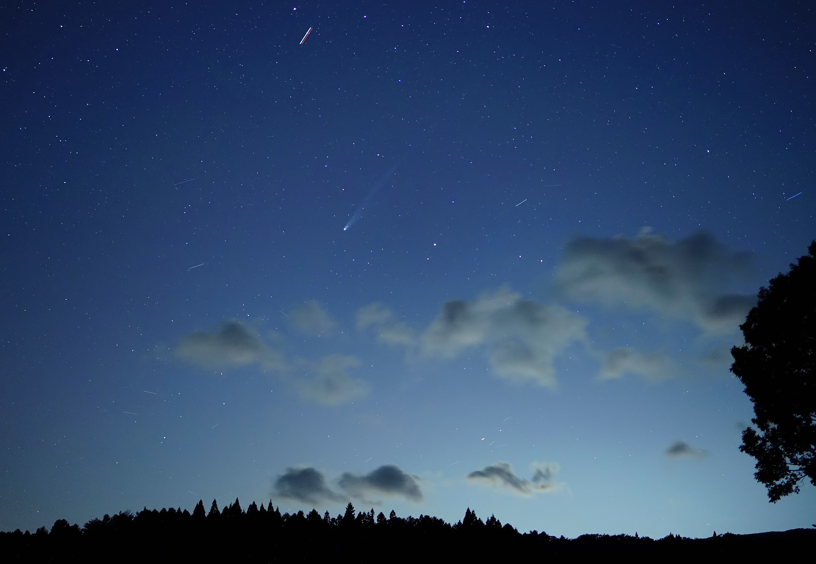 127766: 10月23日レモン彗星 by hm777 - 天体写真ギャラリー