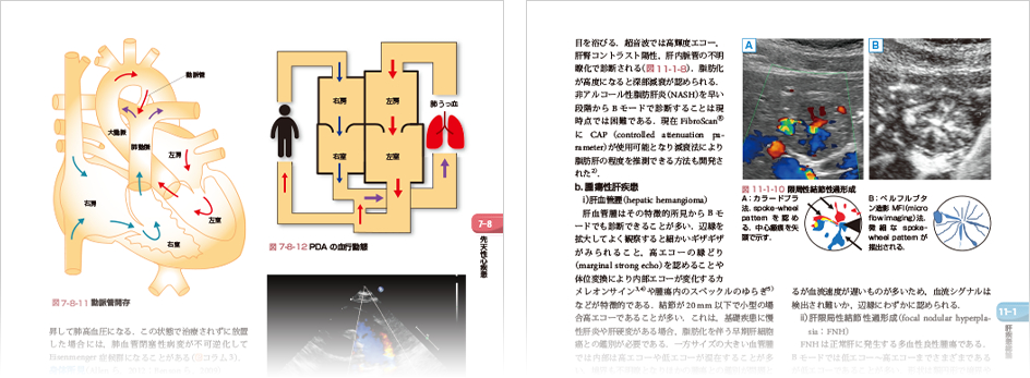 朝倉内科学第11版』待望の全面改訂。デジタル付録が初登場！