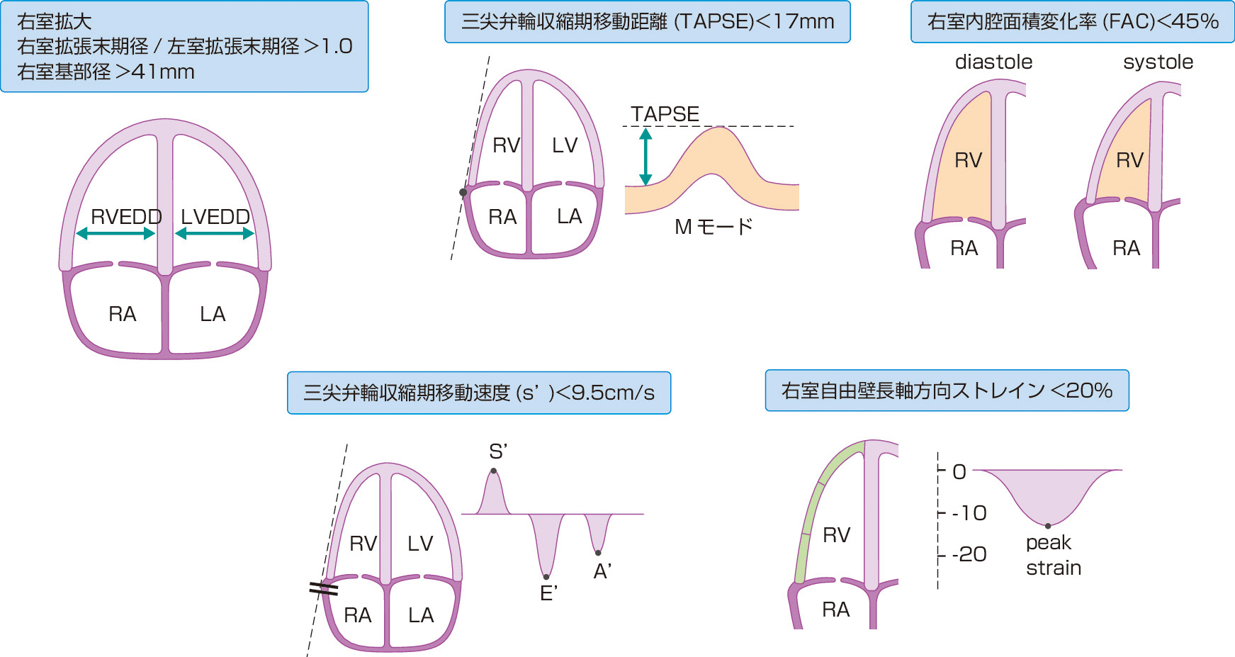 朝倉書店『内科学』（第12版）デジタル付録