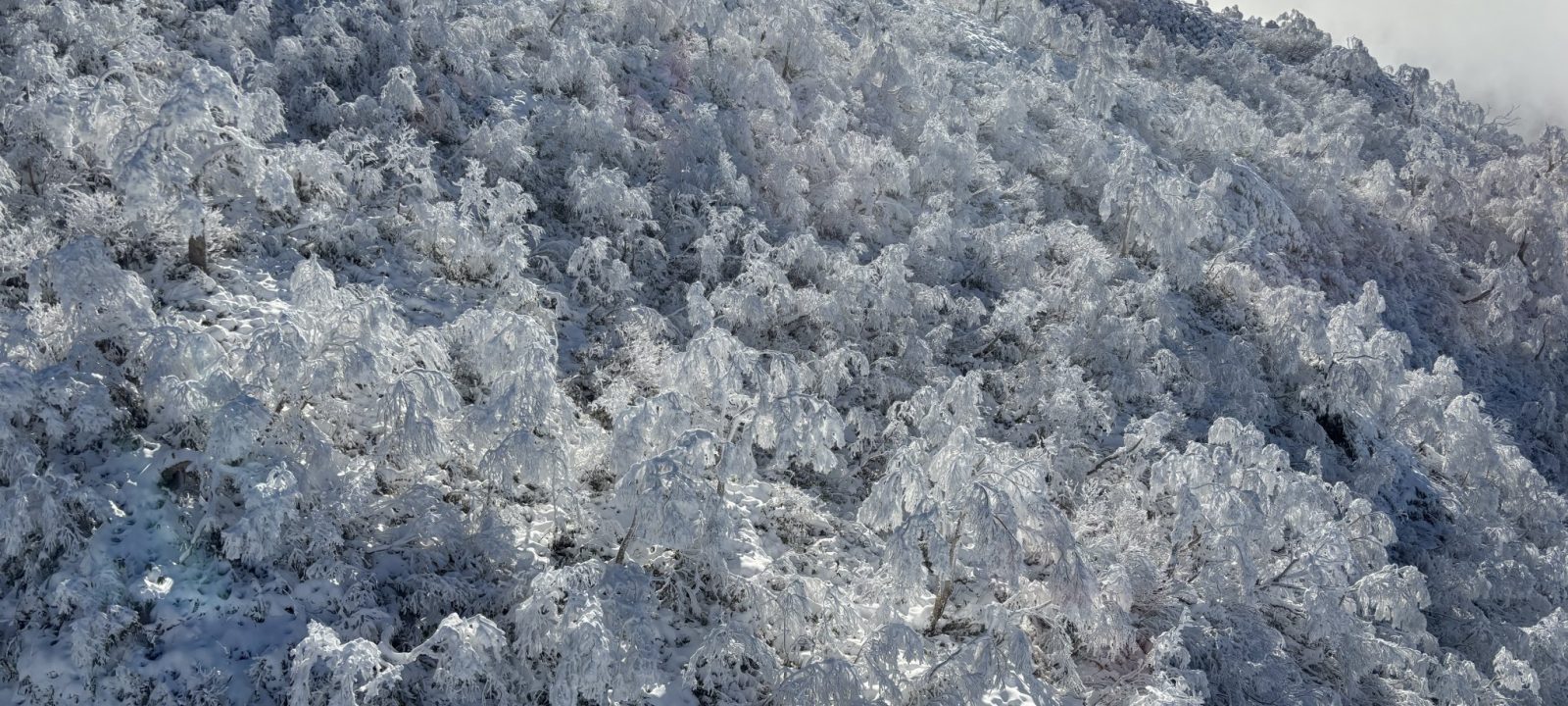 大雪山国立公園 旭岳ビジターセンター