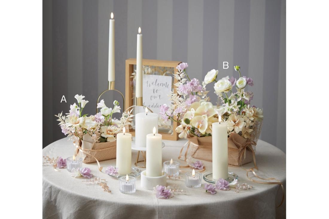 コチョウラン×6つぼみ×1｜商品案内｜株式会社アスカ商会