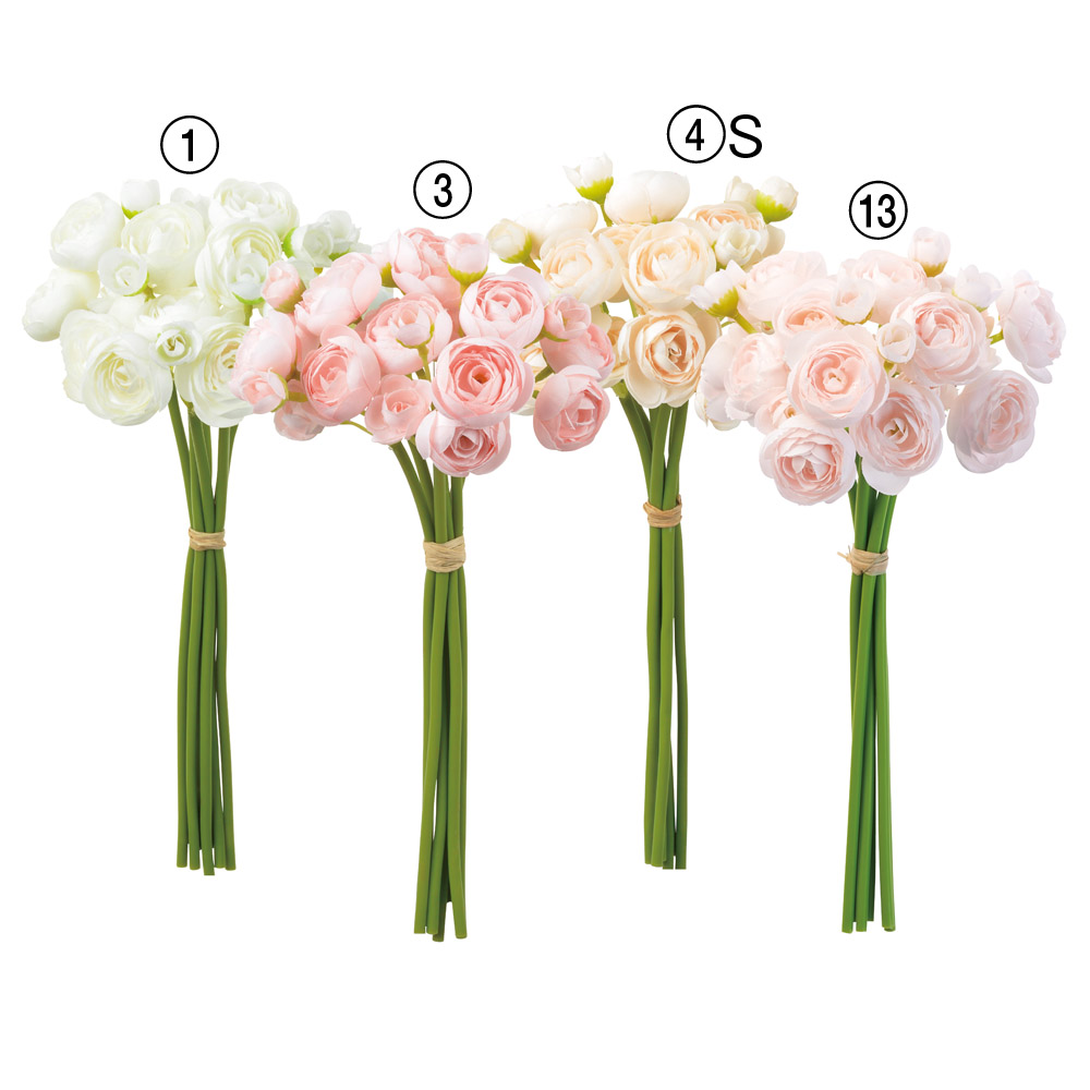 ラナンキュラス×24（1束6本）｜商品案内｜株式会社アスカ商会