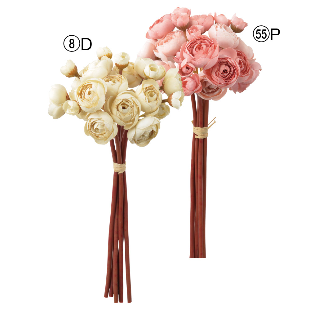 ラナンキュラス×24（1束6本）｜商品案内｜株式会社アスカ商会