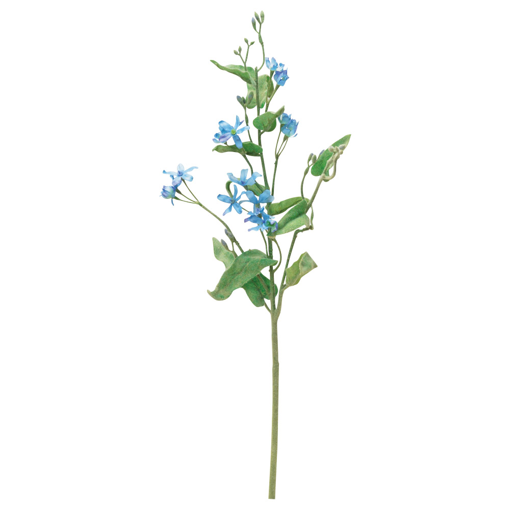 ブルースター×18｜商品案内｜株式会社アスカ商会