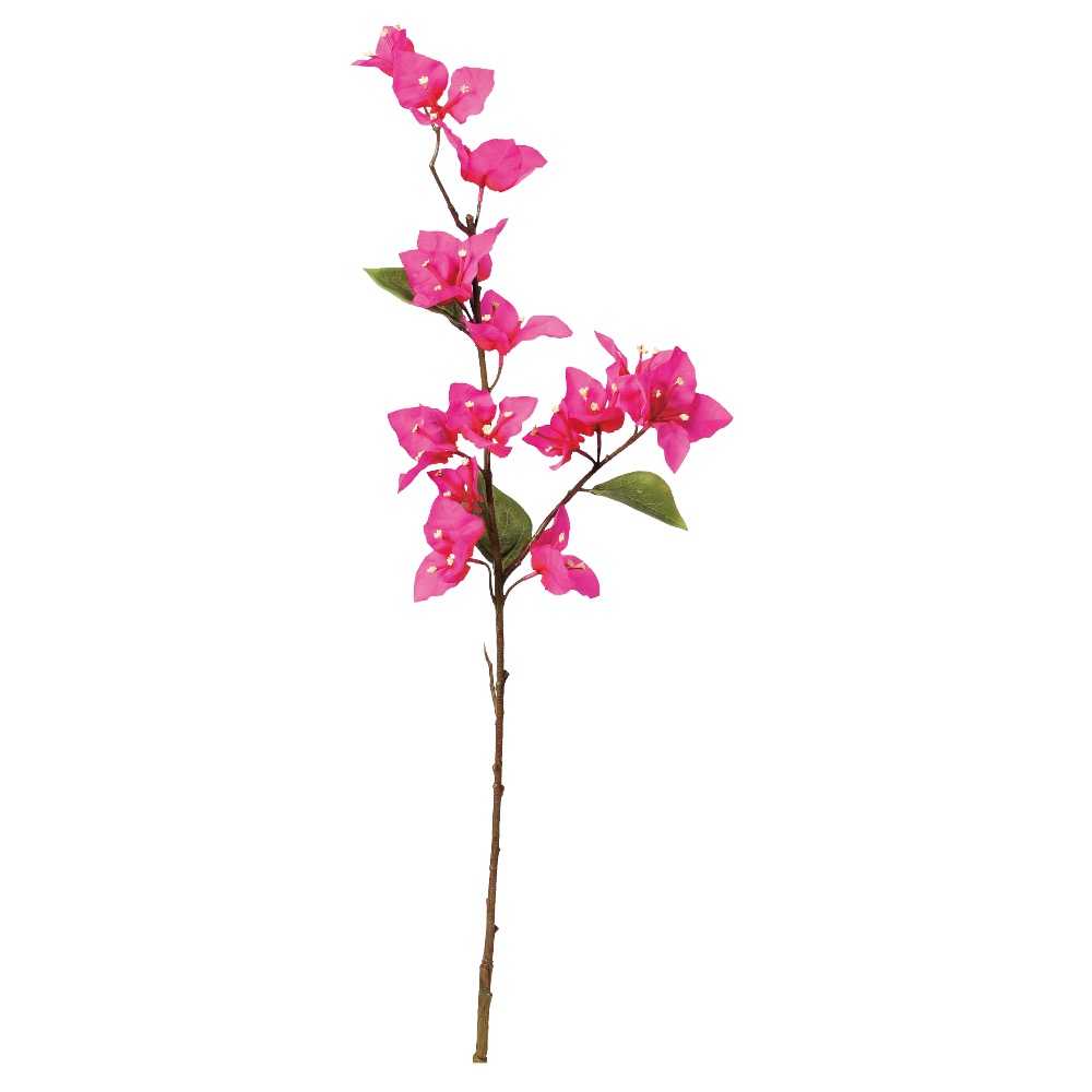 ブーゲンビリア×16｜商品案内｜株式会社アスカ商会