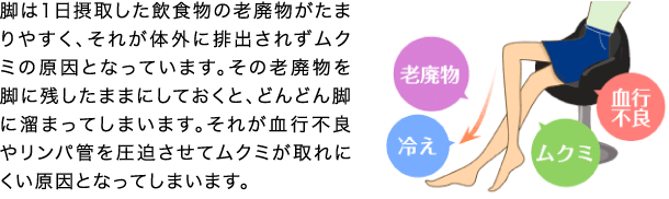 ☆無料☆脚やせカウンセリング | 脚やせ専門エステ『リフィート』