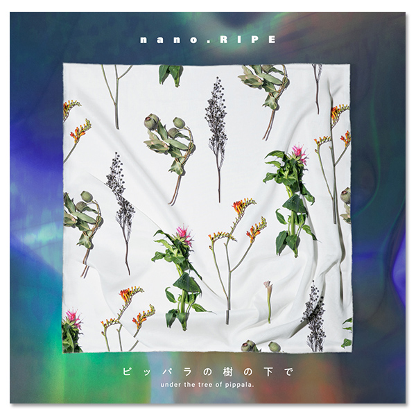 nano.RIPE | A-on STORE