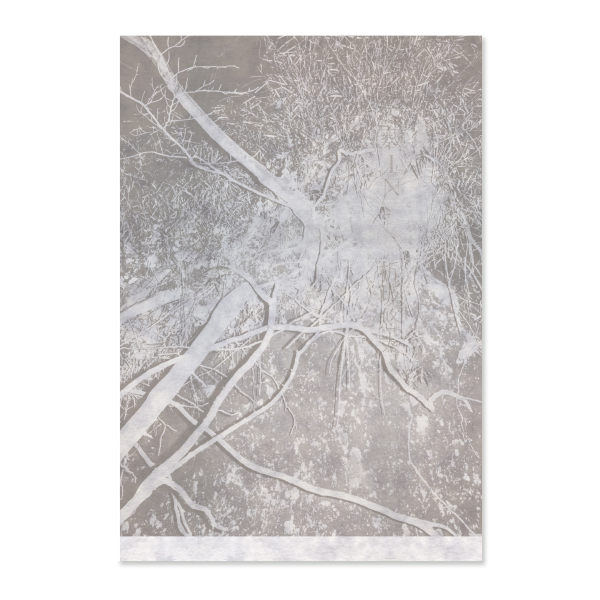 薮IN」 | 折坂 悠太 | A!SMART