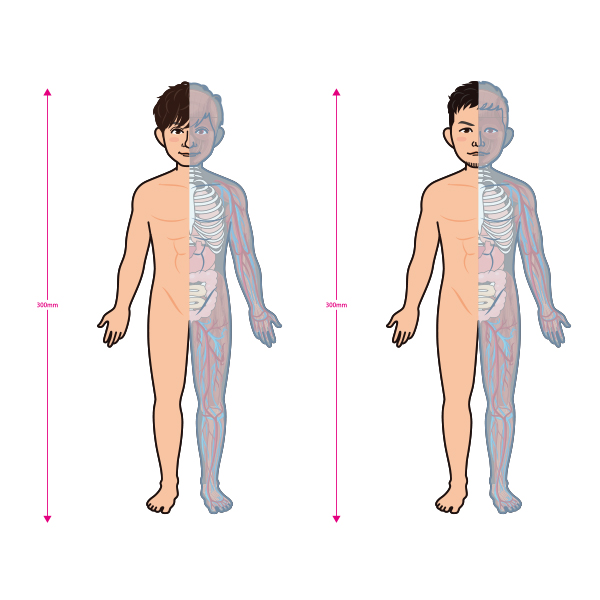 人体模型 〜PORNOGRAFFITTI Model〜 | ポルノグラフィティ | A!SMART