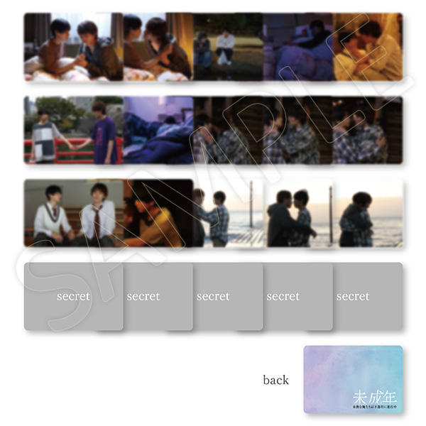 ランダムトレーディングカード（全20種/ランダム封入） | 本島 純政