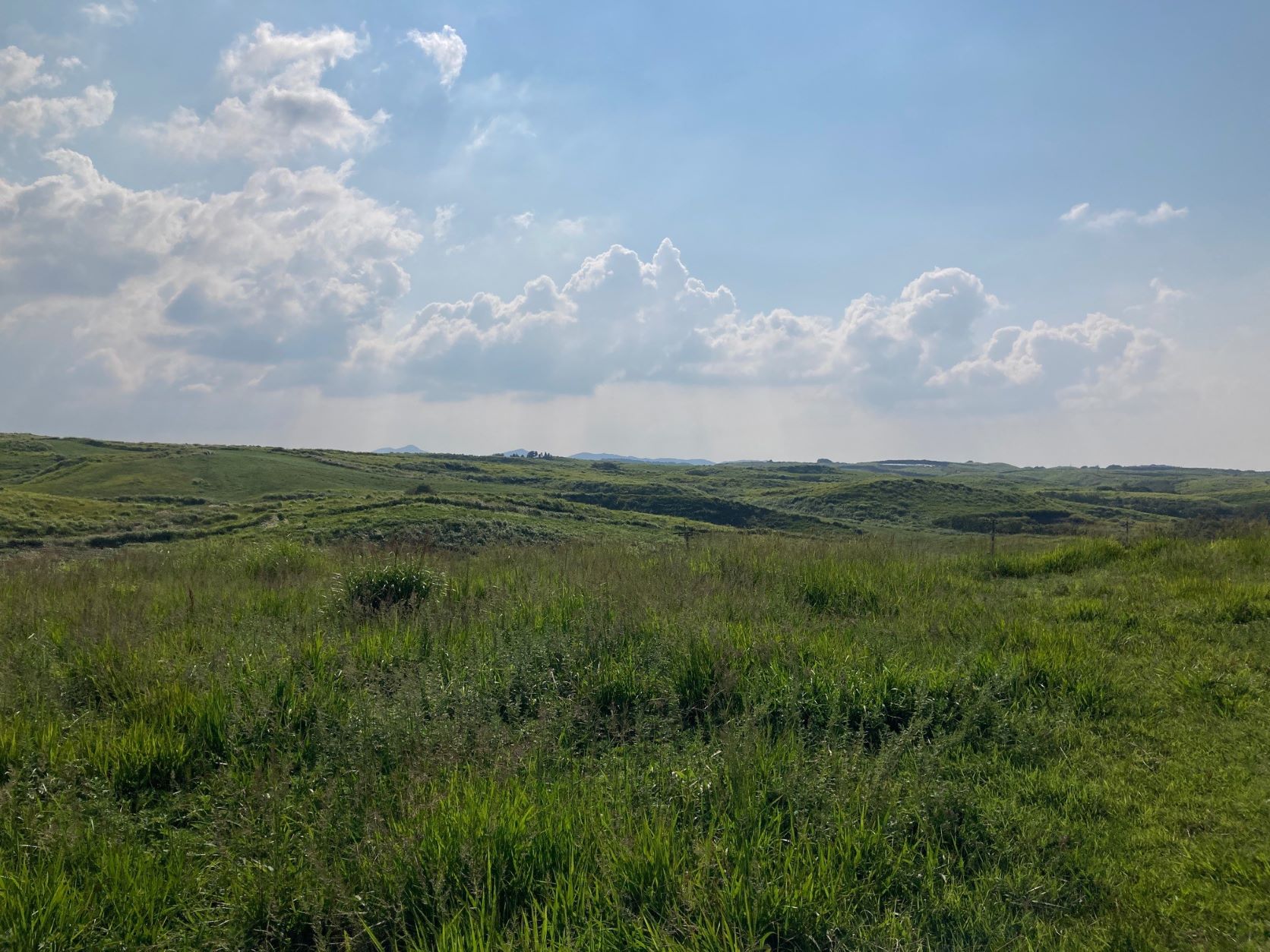 草原ライド」がNHKワールドに取材されました！ | 道の駅 阿蘇
