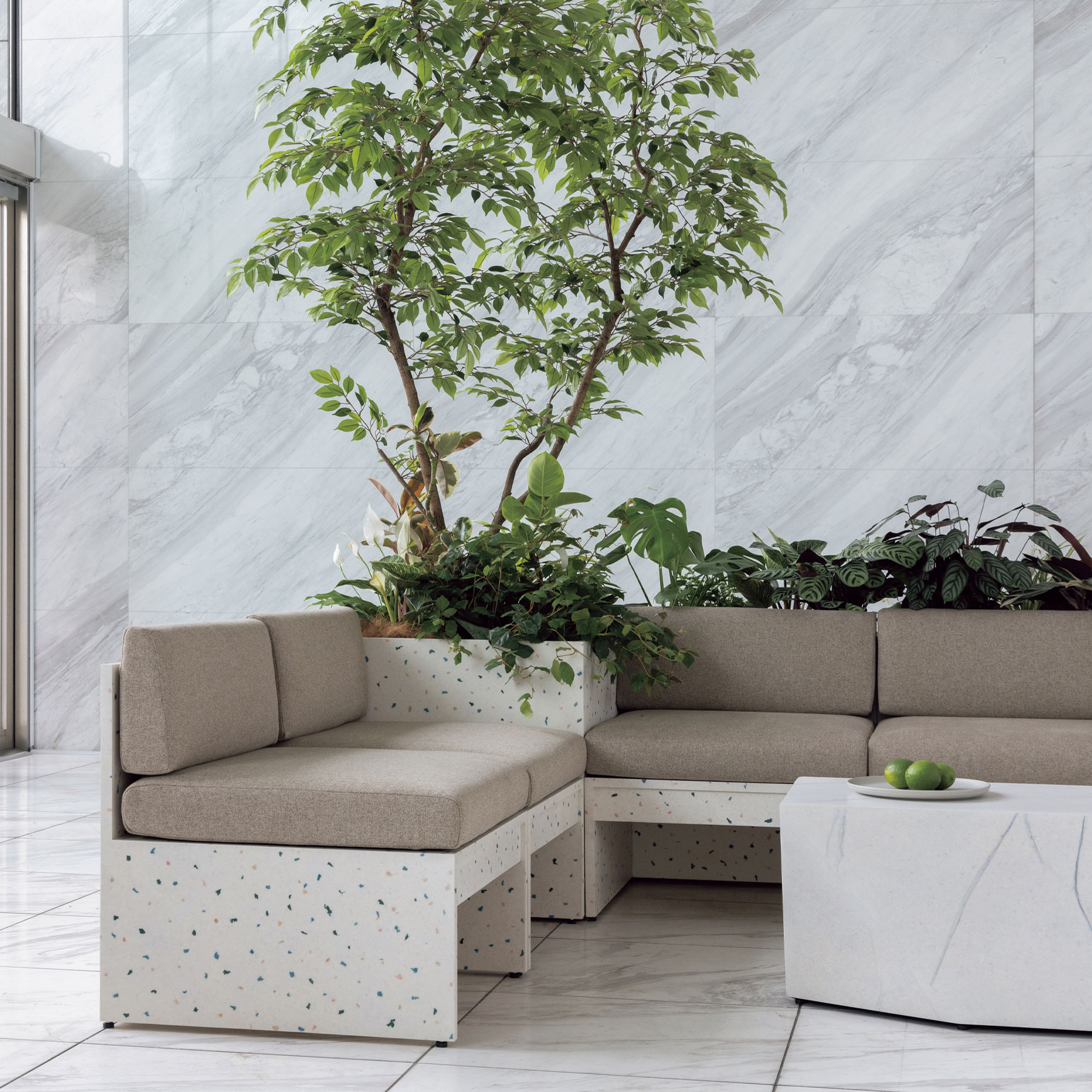 FIZZ SQUARE PLANTCOVER - 【ASPLUND CONTRACT】 アスプルンド