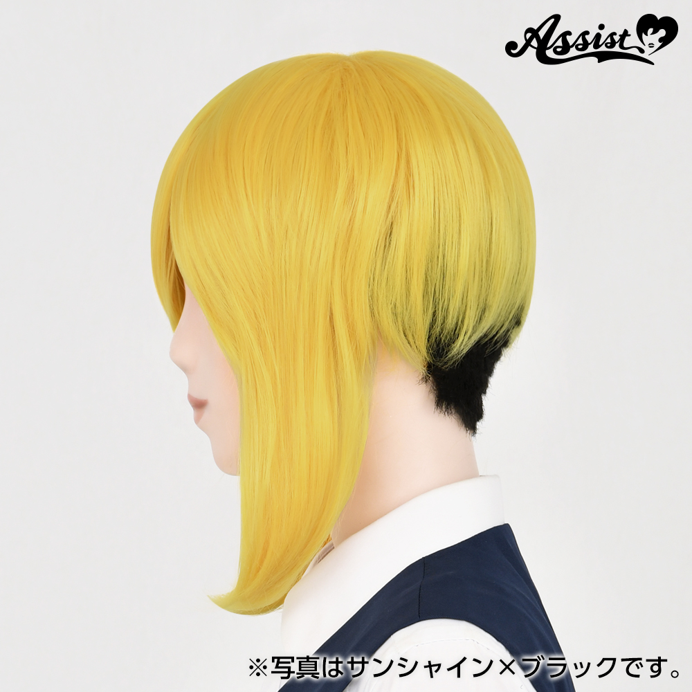 コスプレ用ウィッグ ツーブロックウィッグ ブラック×ブラック