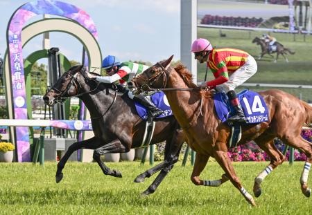 天皇賞・春、ヘデントールが優勝 競馬、1番人気でG1初制覇｜静岡