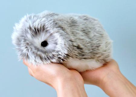 人になつくAIペットロボ「Moflin」注目 心支える相棒がヒット