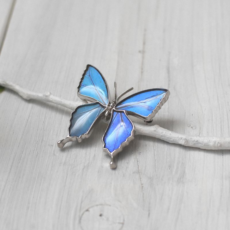 ゼフィリティスモルフォ 蝶の翅 ブローチ兼ペンダント シルバー925