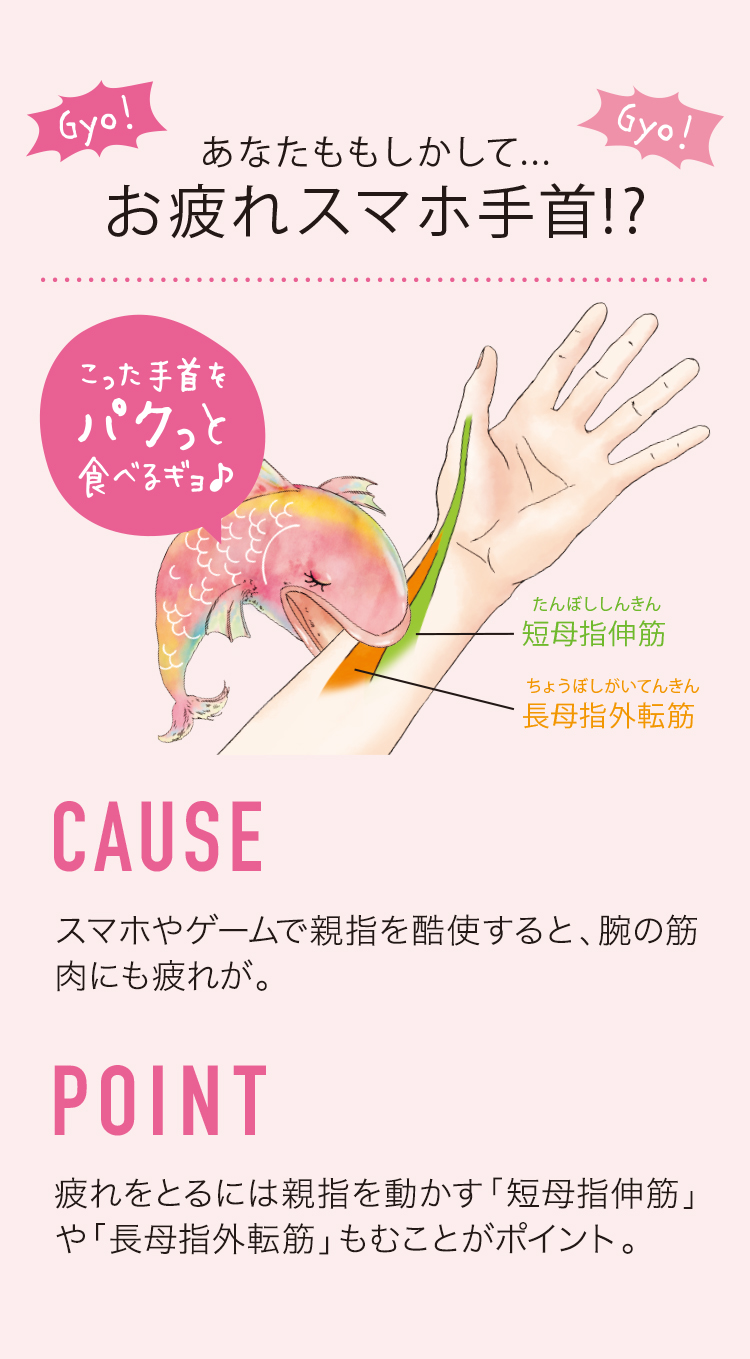 エアマッサージャー リラギョ AX-KXL4000｜ブランド｜株式会社アテックス