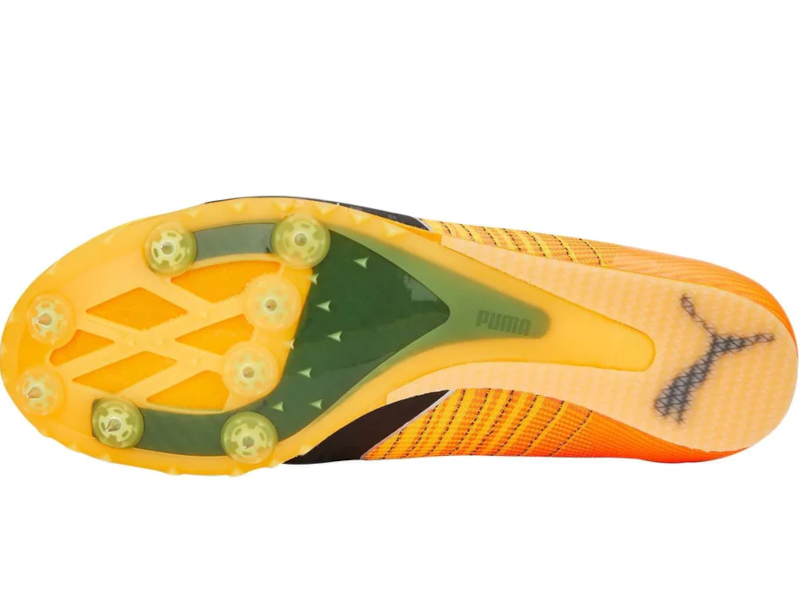 AthletePit アスリートピット