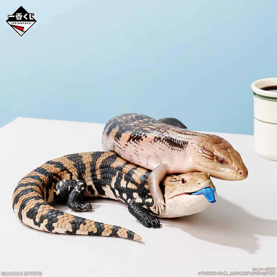 爬虫類＆両生類」だけの一番くじ 第2弾が7月25日より登場！ | 株式会社
