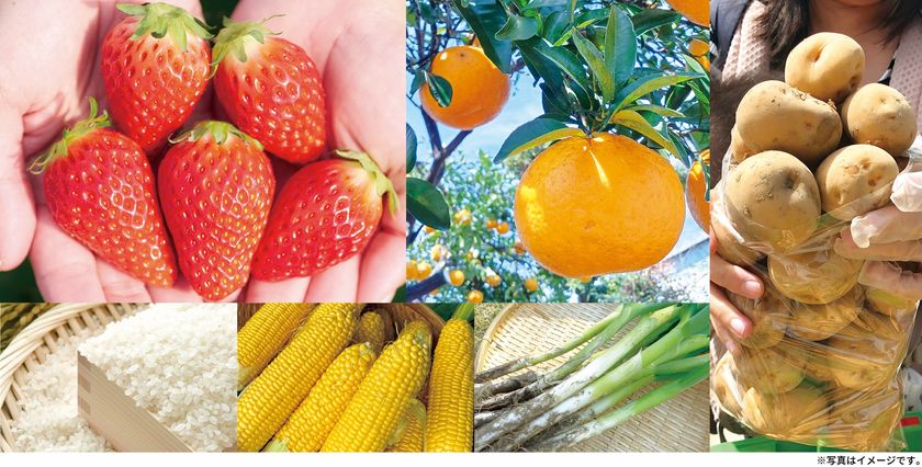 今話題の整体手技が自宅で学べる！講師 冨田 勝の 『RE:SET～Auto