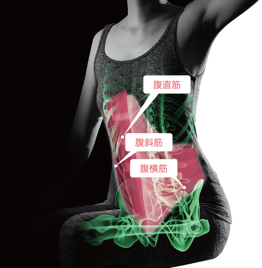 座るだけで体幹トレーニング！ フジ医療器が「体幹トレーナー FF-100