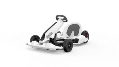 子供のビッグトイ、大人のミニレーシングカー！ | 株式会社オオトモ